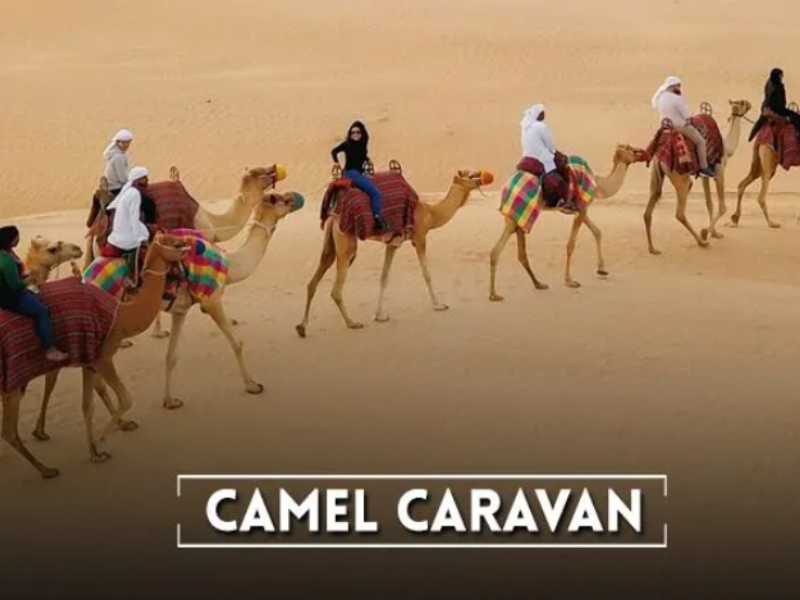 Travel SAGA, we believe every journey should be memorable and cost-effective for everyone, we have 33 travel desks in Dubai